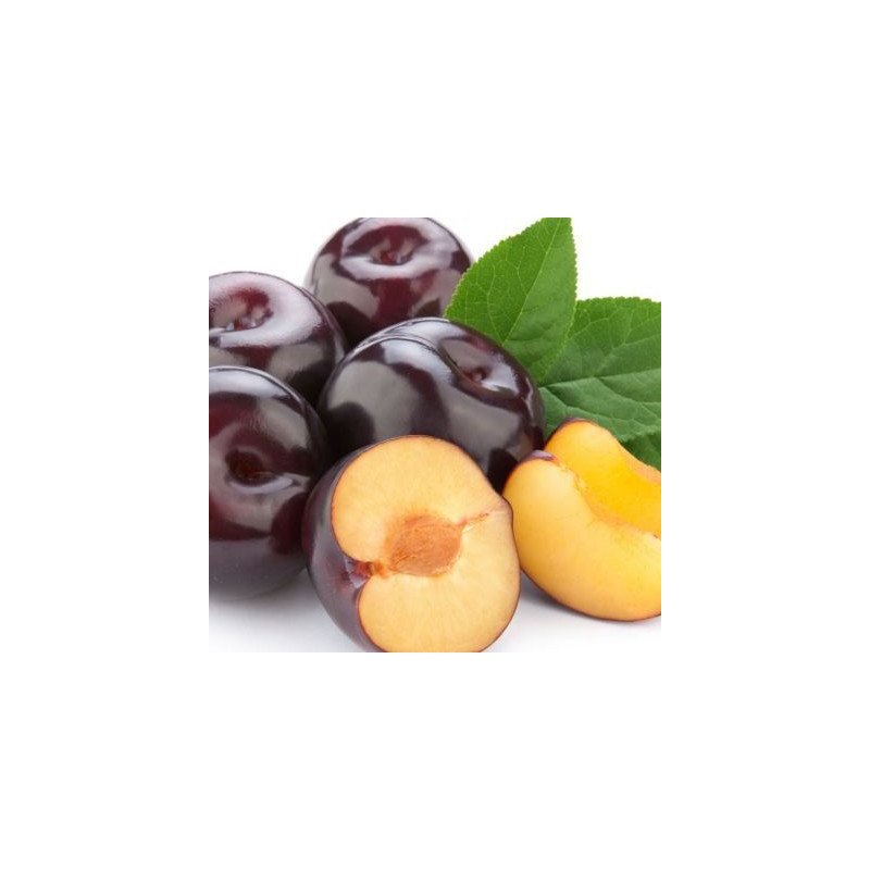 Ciruela