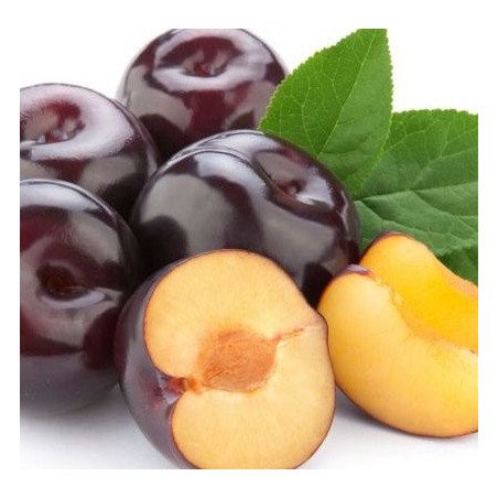 Ciruela