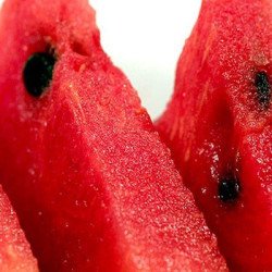 Sandia