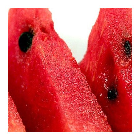 Sandia