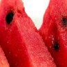 Sandia