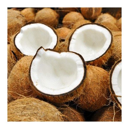 Coco