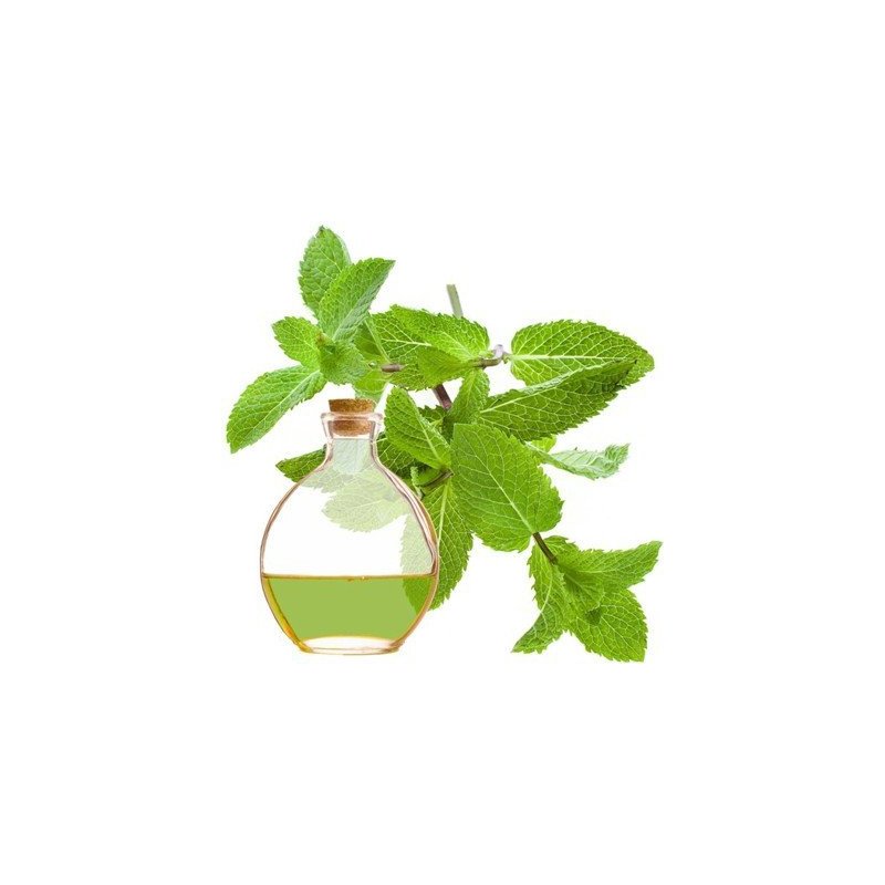 Menta