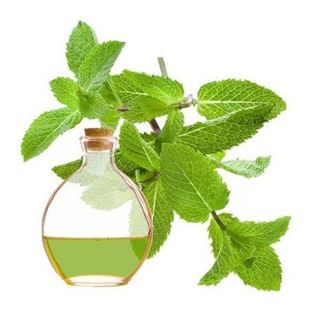 Menta