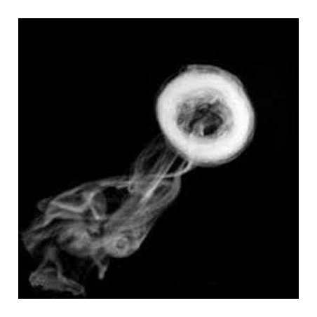 Smoke