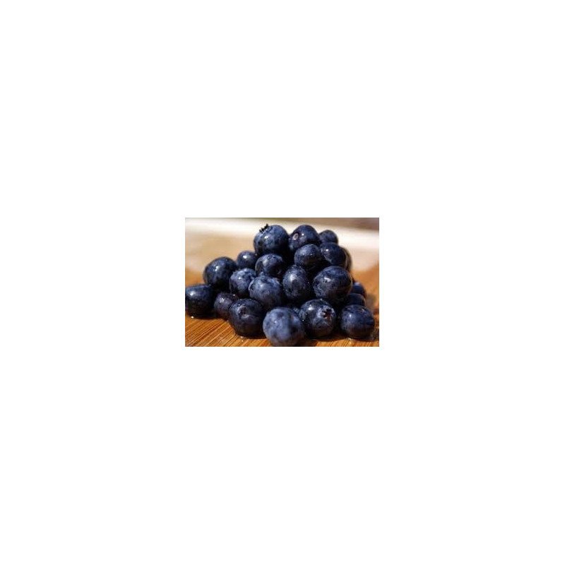Arandano