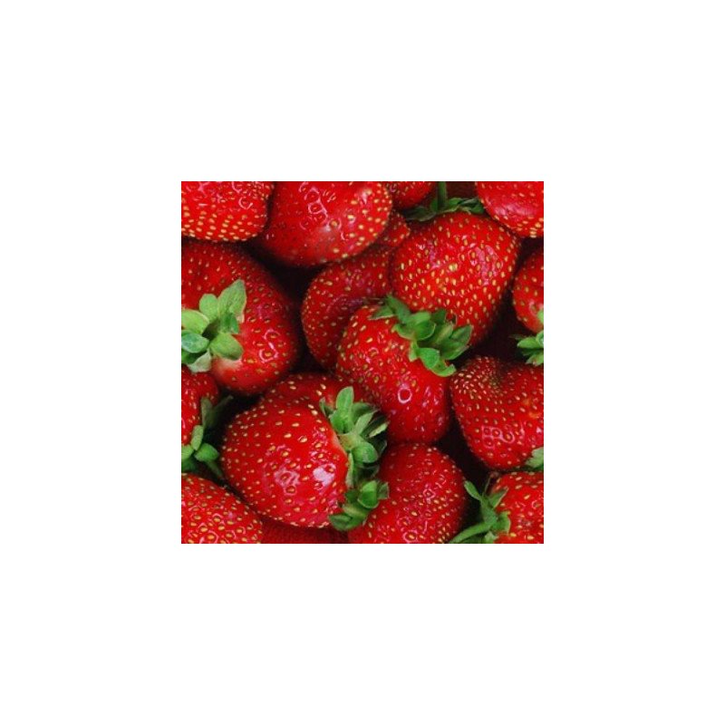 Frutilla