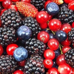 Frutos del bosque