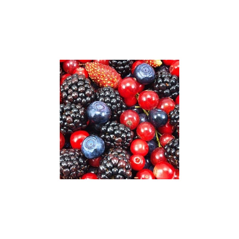 Frutos del bosque