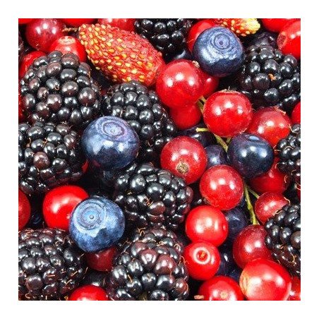 Frutos del bosque