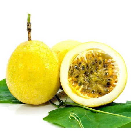 Maracuya